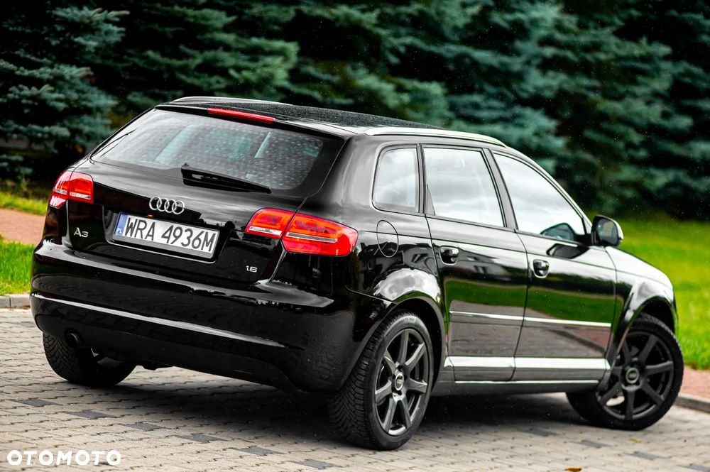 Audi A3 Sportback 1.6 Ambition - 13