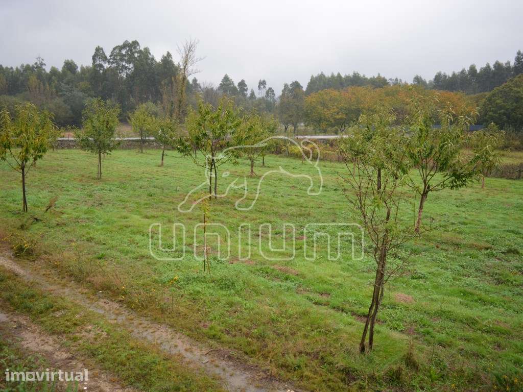 Terreno em Freixo - Grande imagem: 3/6