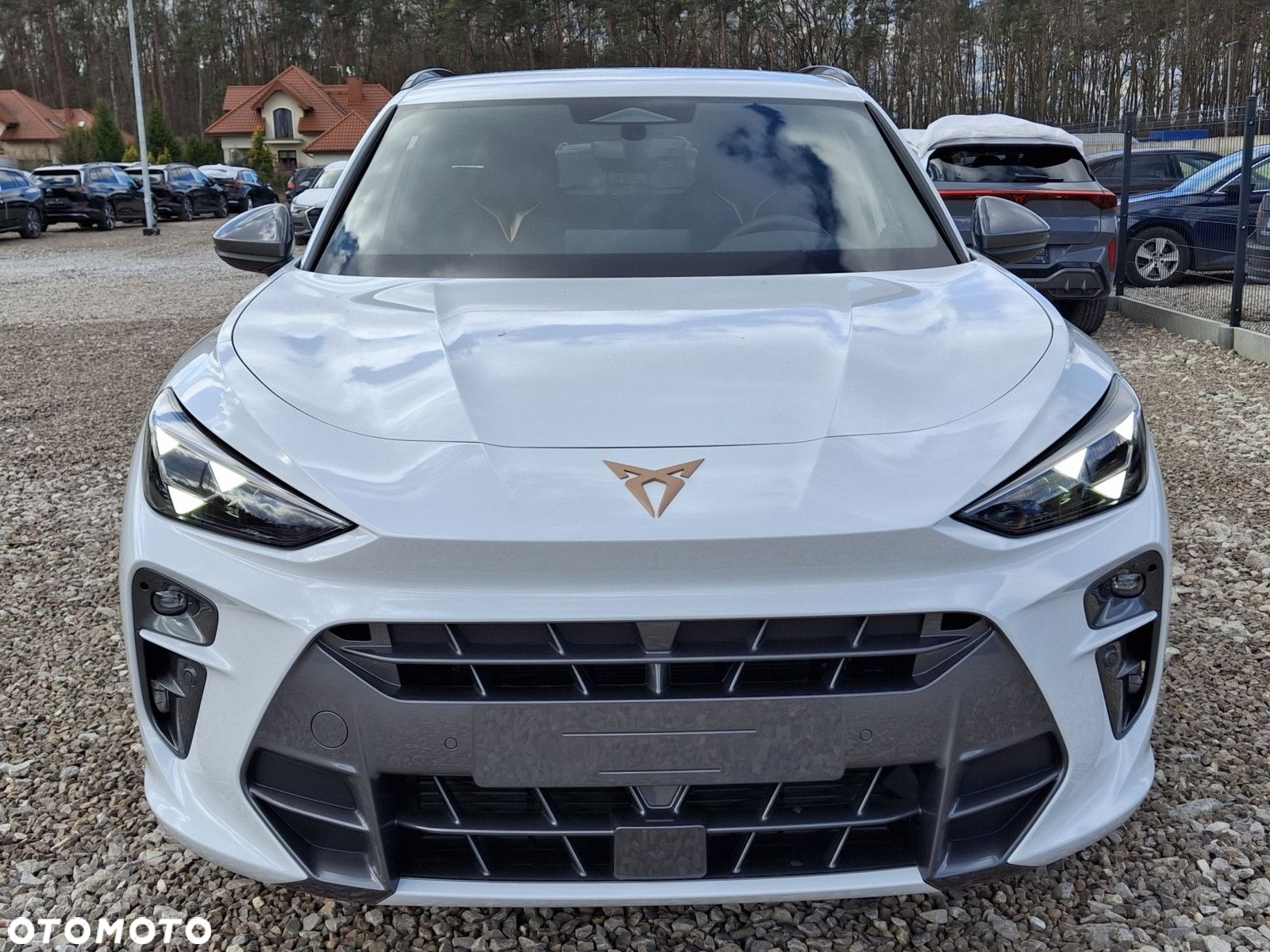 Cupra Terramar - 3