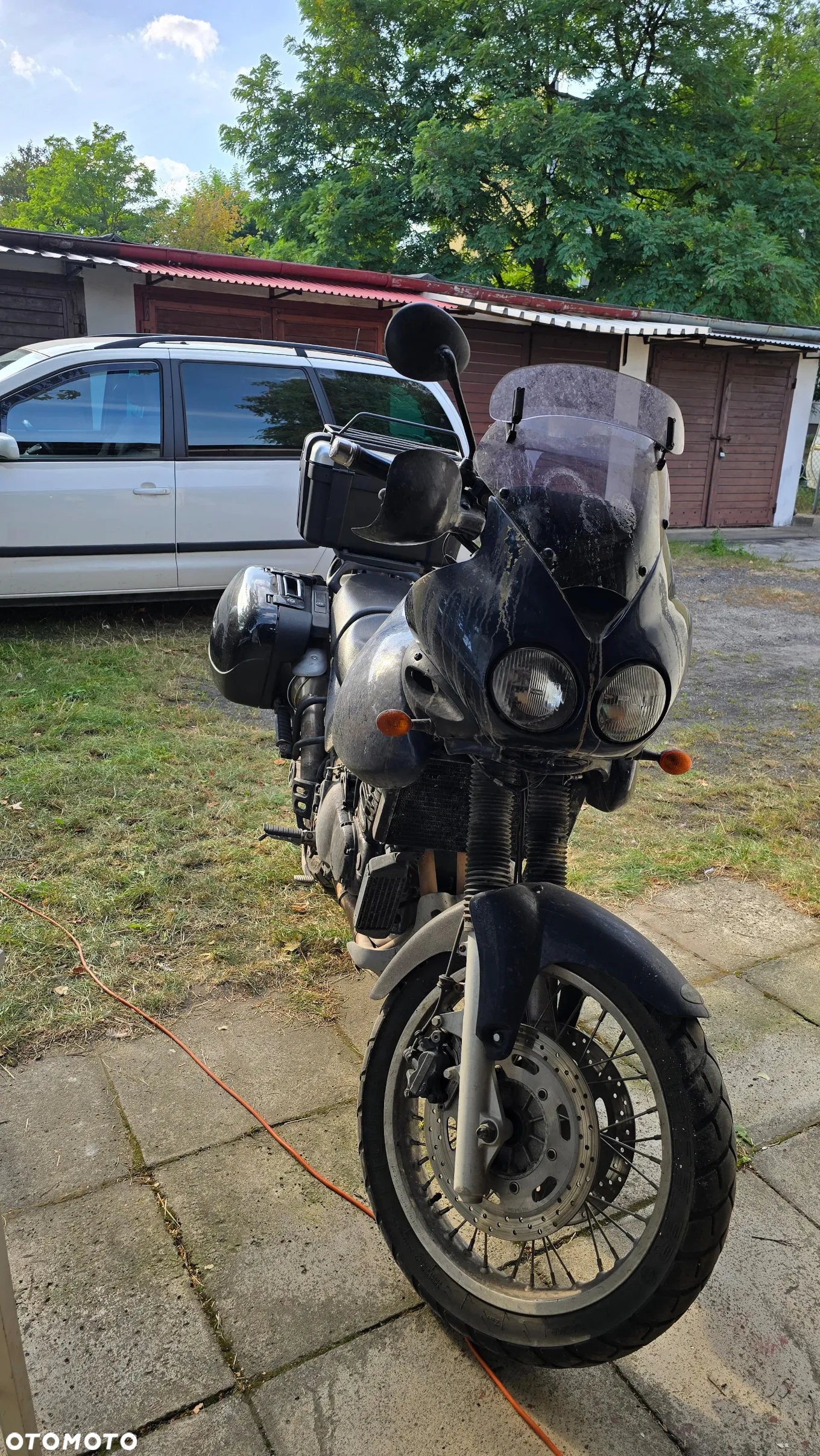Triumph Tiger - 19