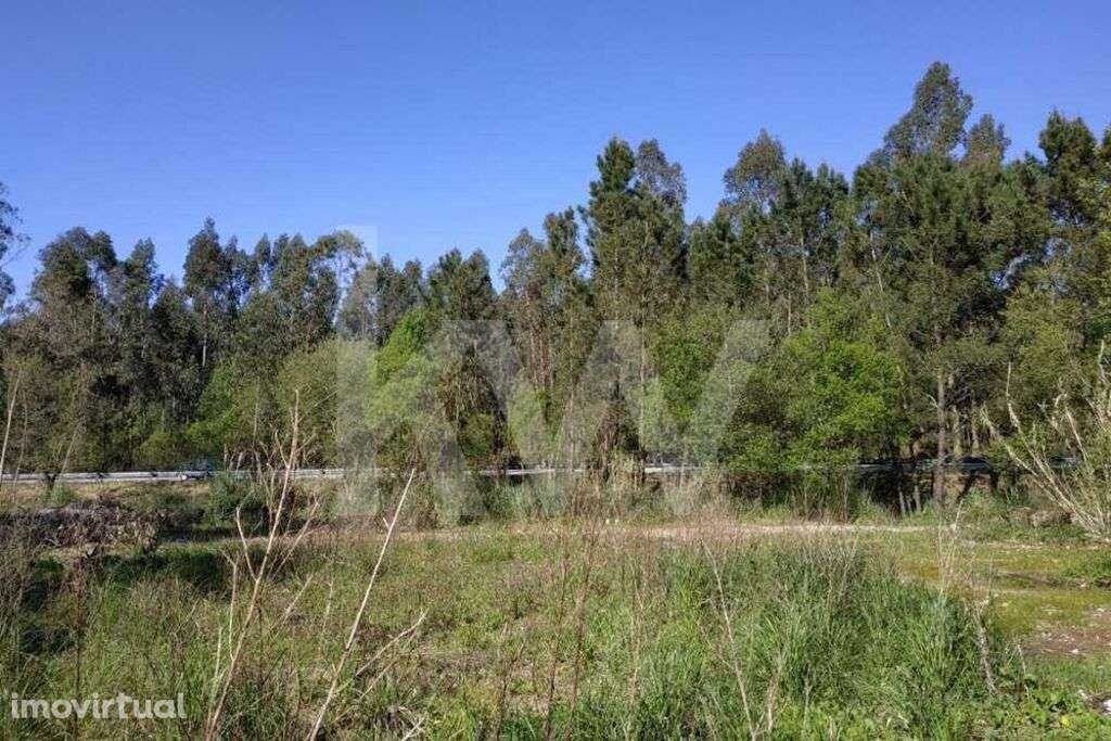 Terreno rústico com 4.080m2 na Avenida Jaime Isidoro (VL5) em Perosinh - Grande imagem: 5/20