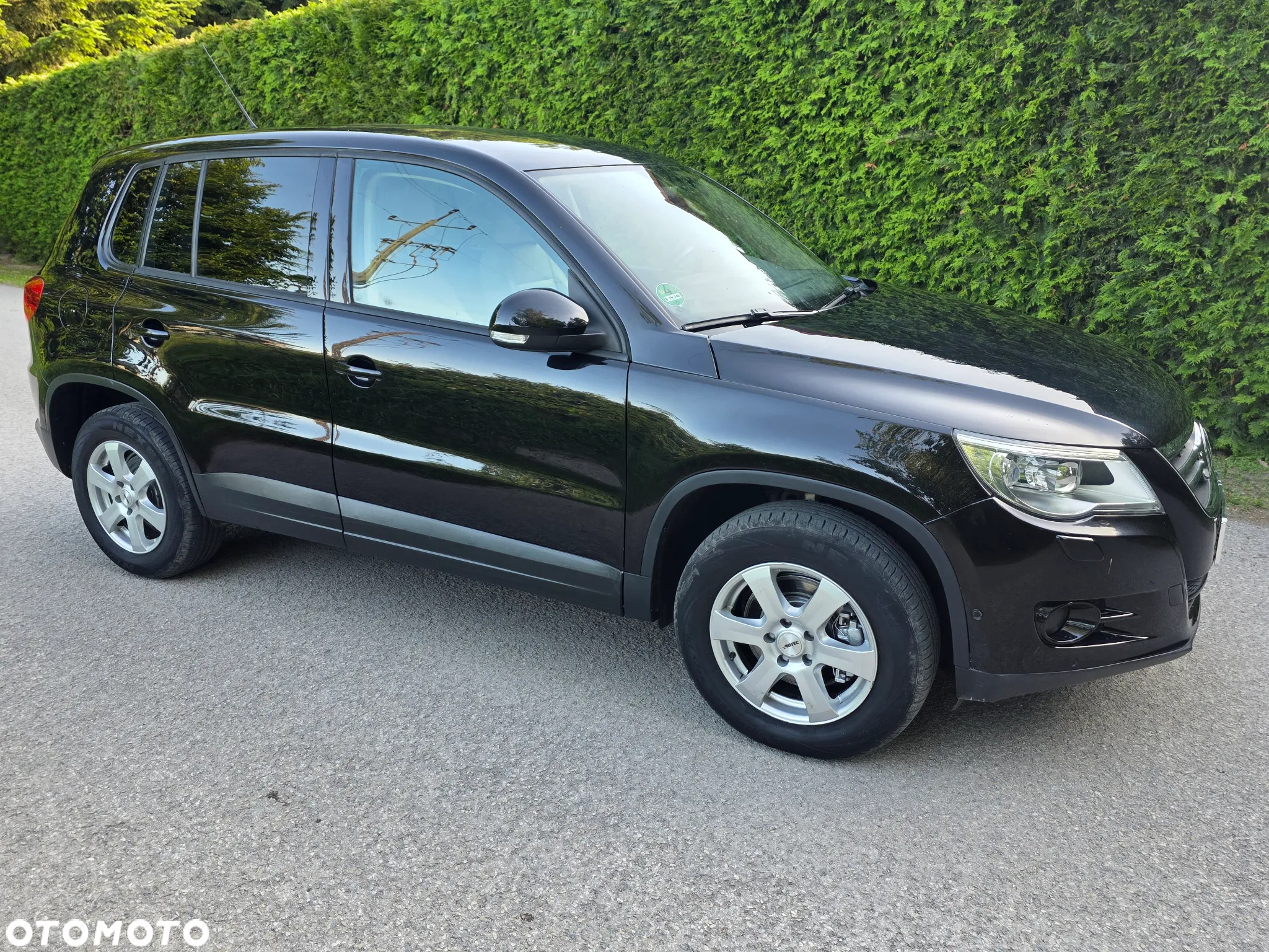 Volkswagen Tiguan - 8