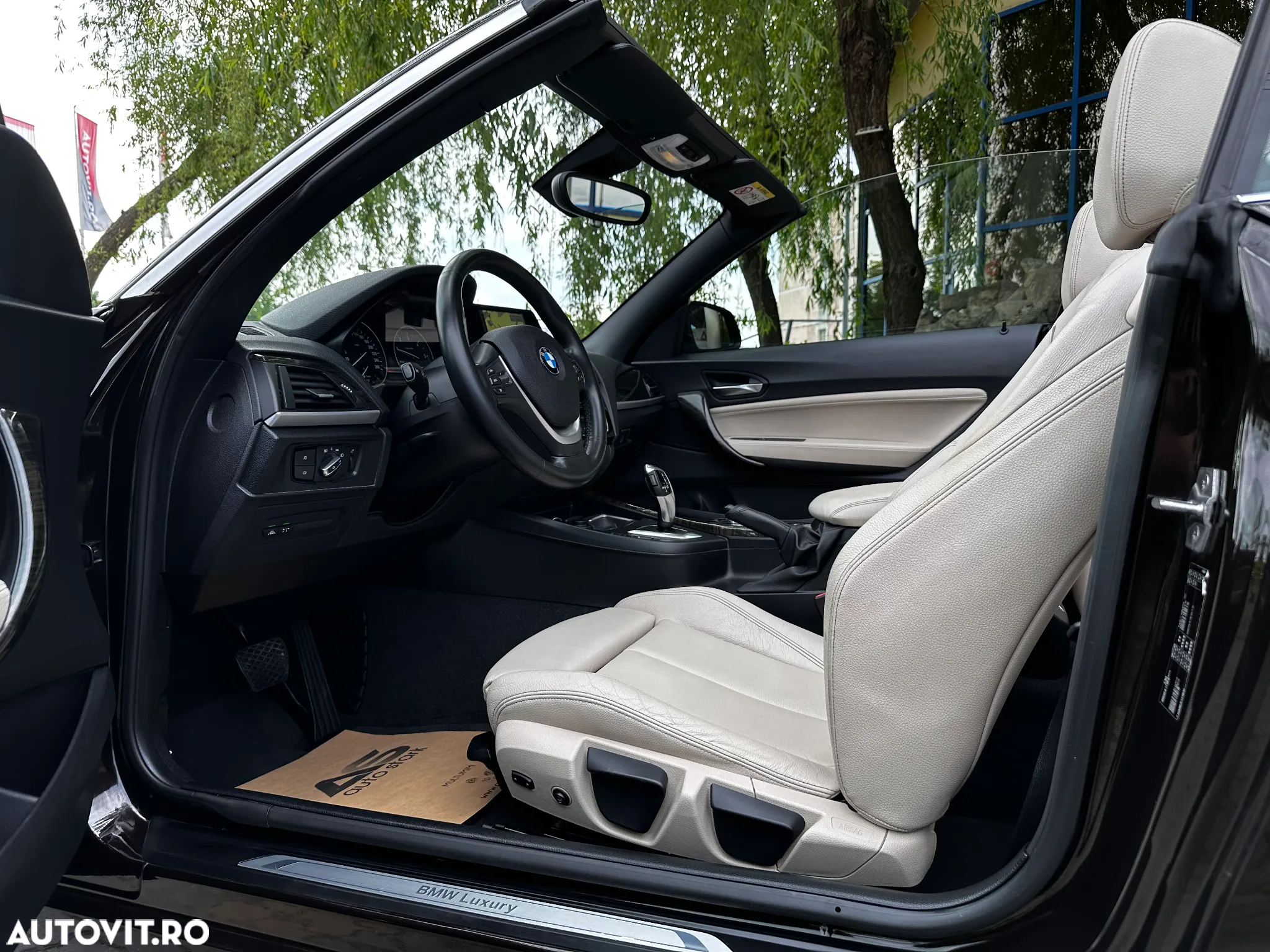 BMW Seria 2 220d Cabrio Aut. Luxury Line - 19