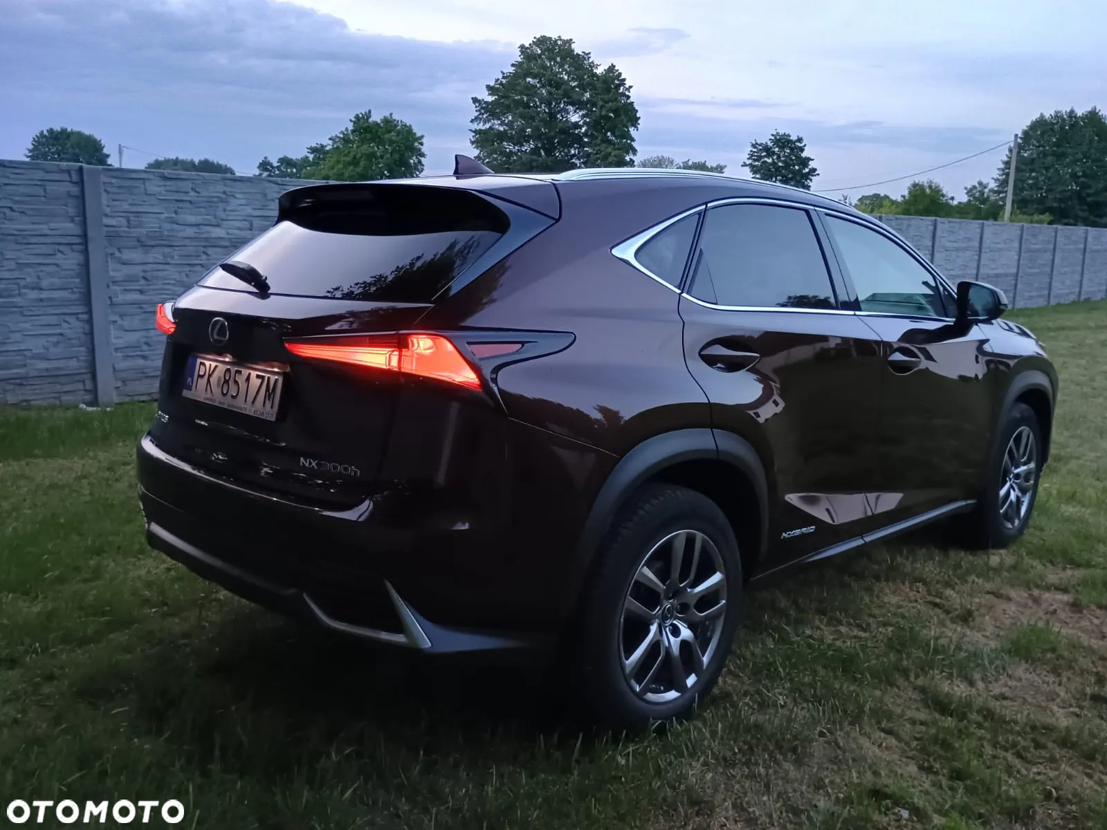 Lexus NX 300h Elegance AWD - 22