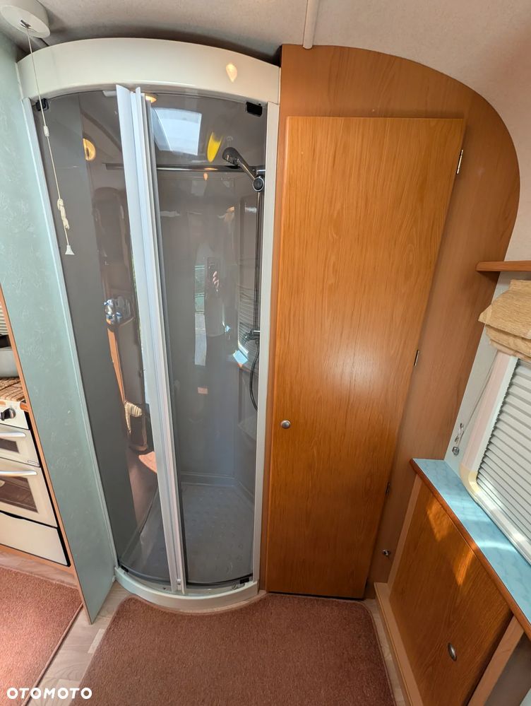 Avondale Golden Avocet - 13
