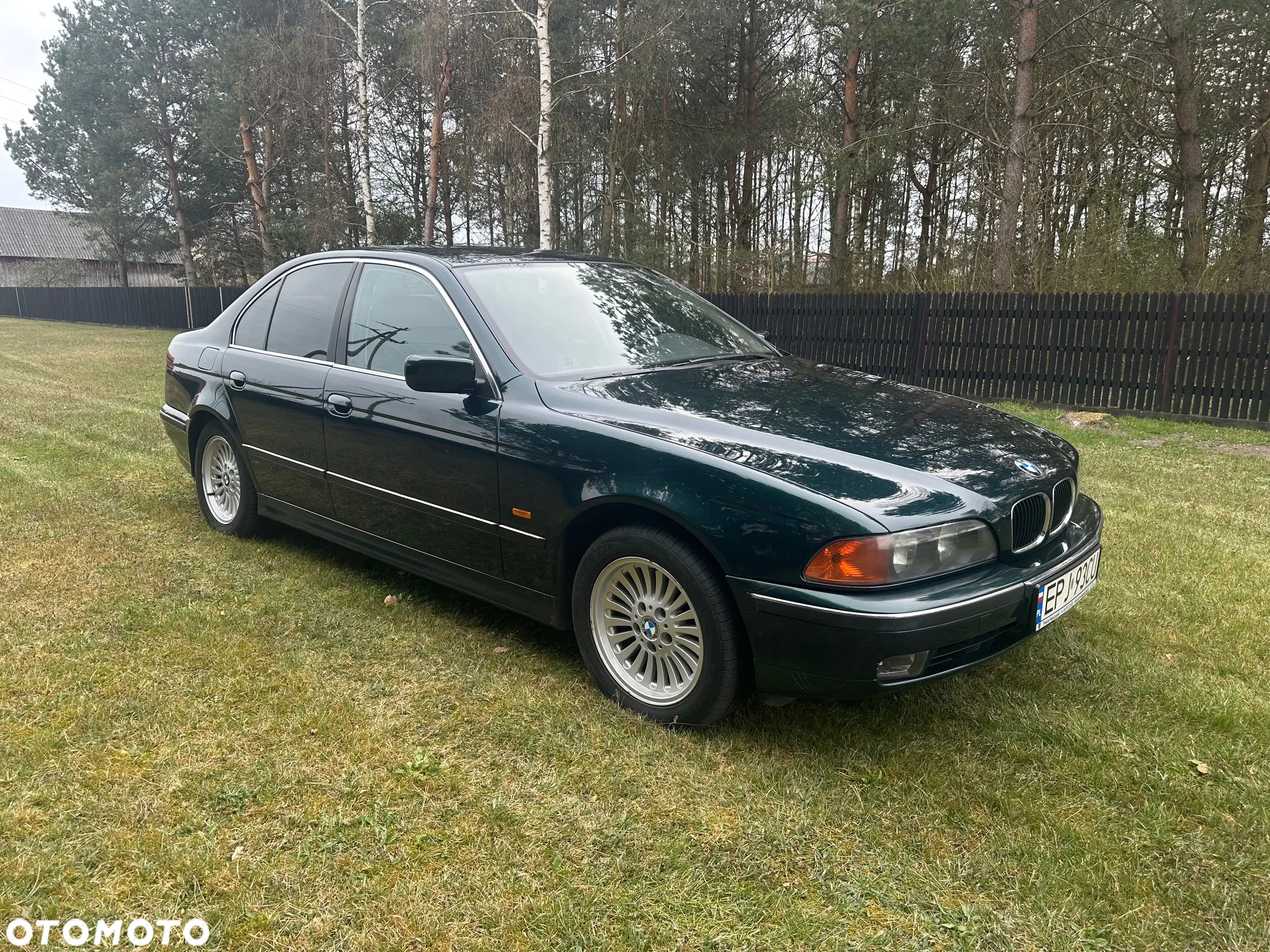 BMW Seria 5 - 15