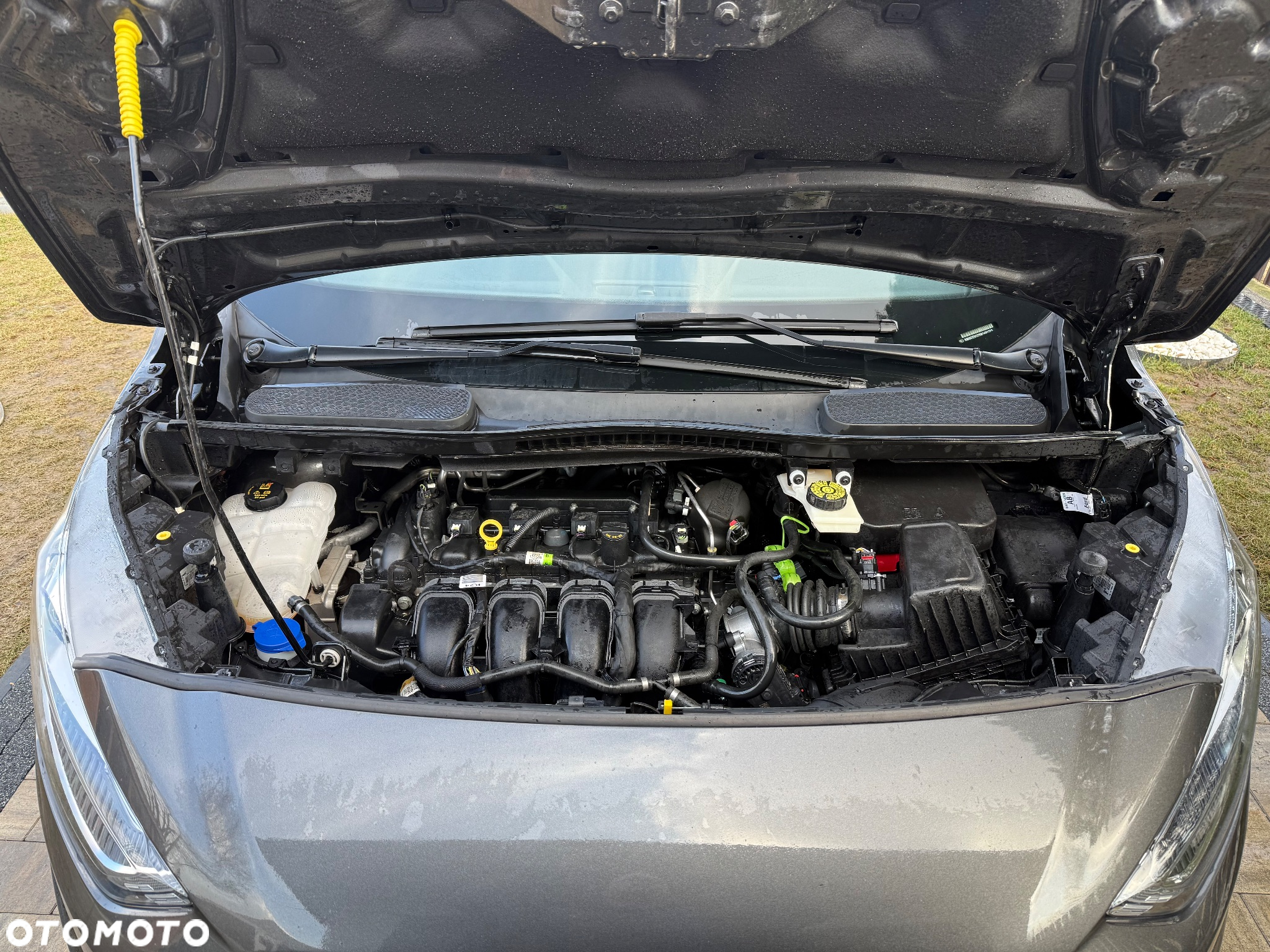 Ford Tourneo Connect Grand - 30