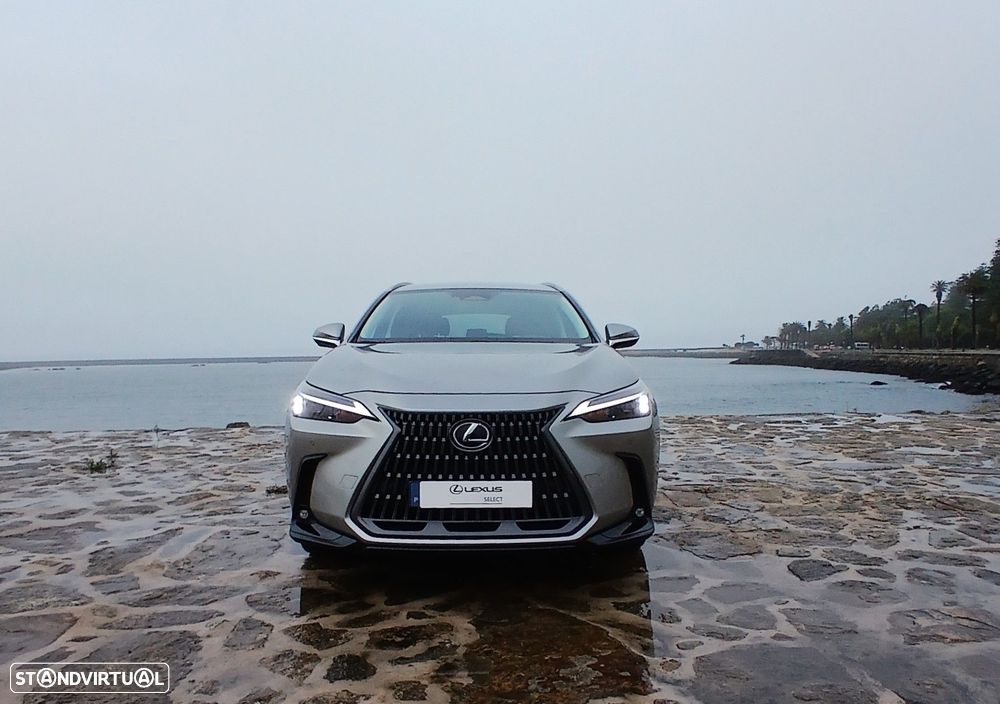 Lexus NX 450h+ - 17