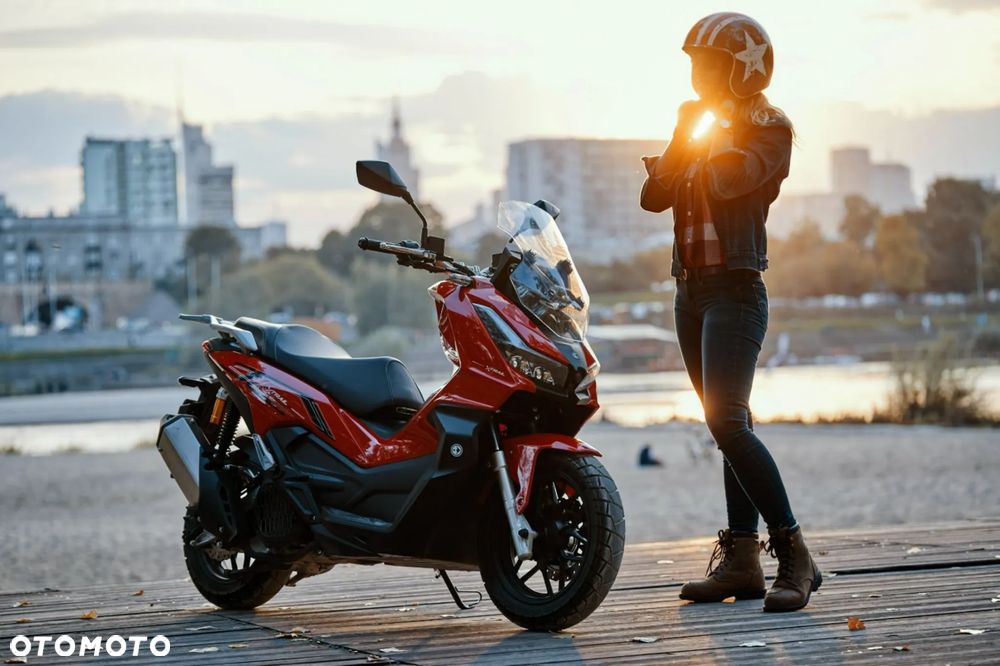 Barton X-Trail - 19