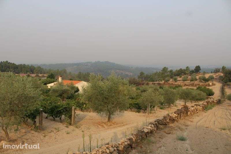 Terreno com Moradia, Garagens e Anexos à Venda - Grande imagem: 2/12