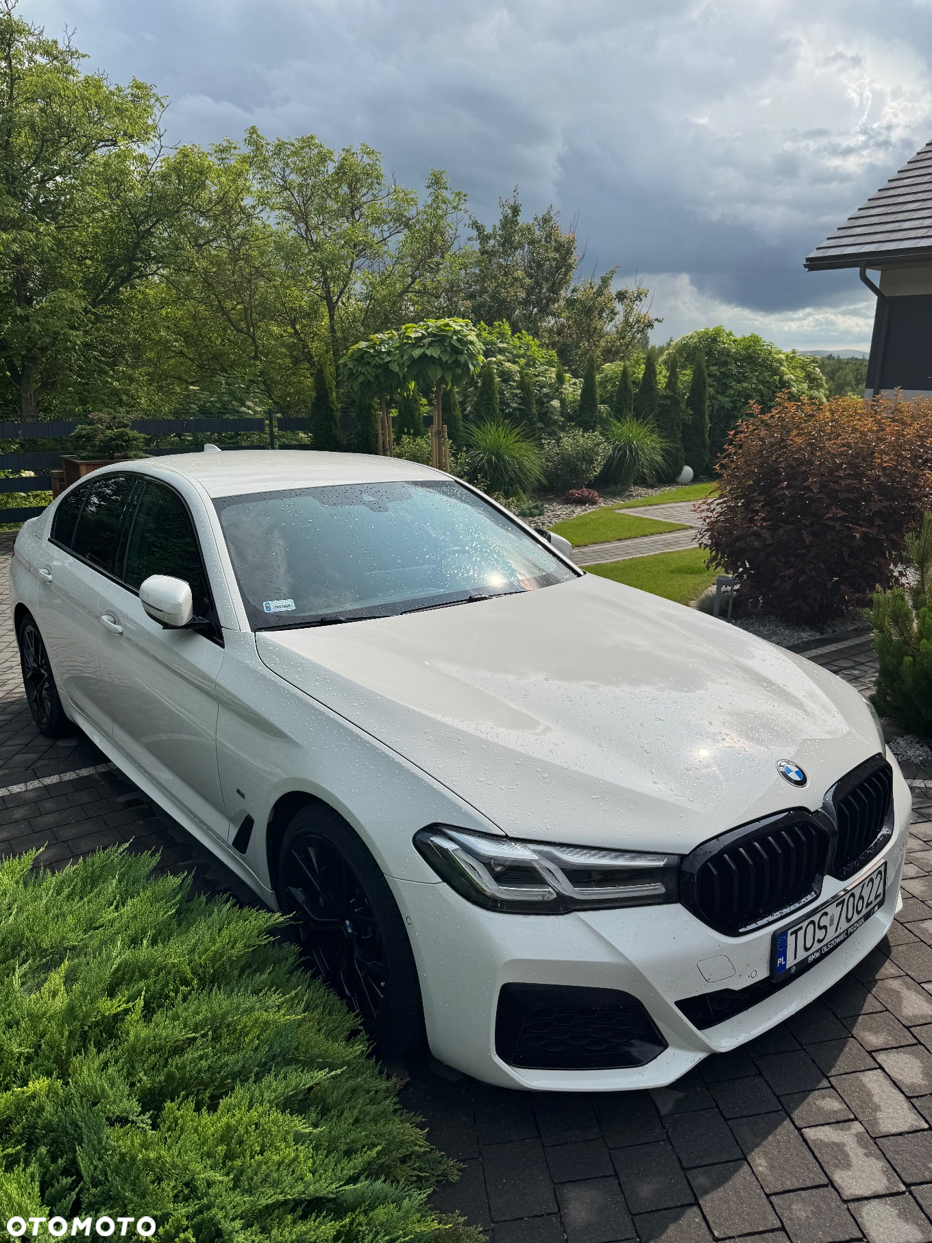 BMW Seria 5 530i xDrive - 8