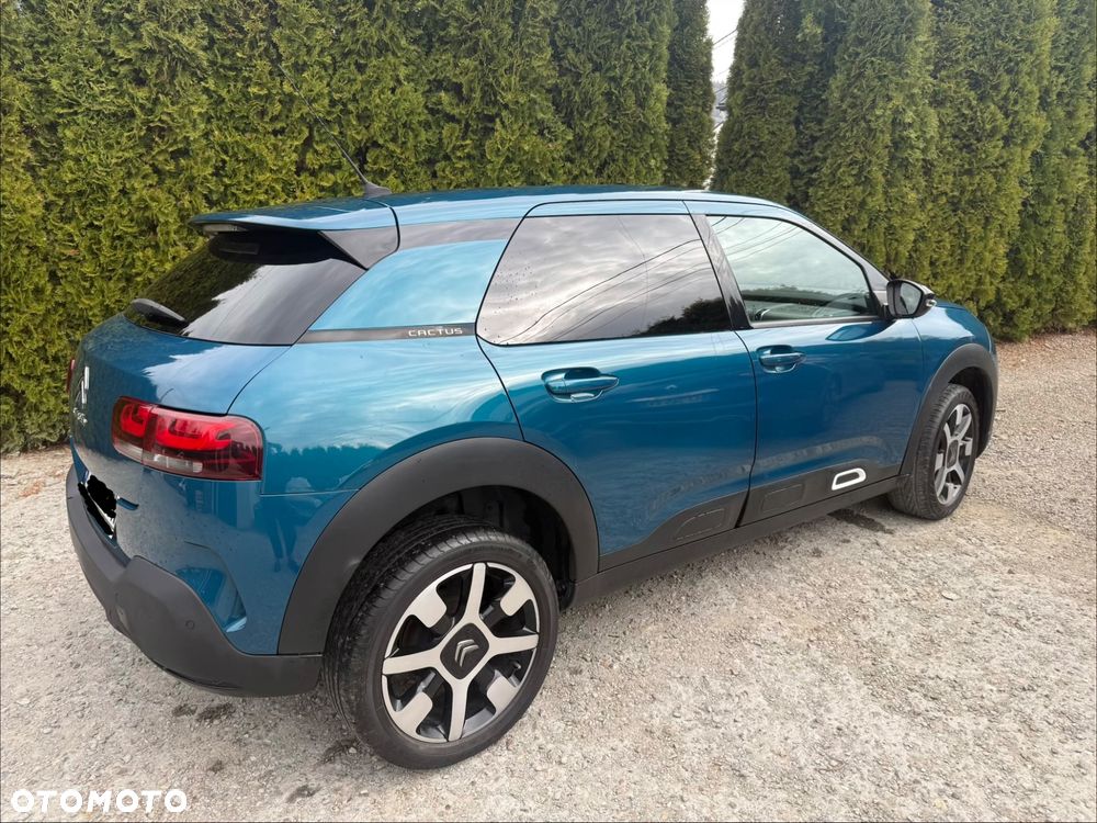 Citroën C4 Cactus PureTech 110 Stop&Start Origins - 17