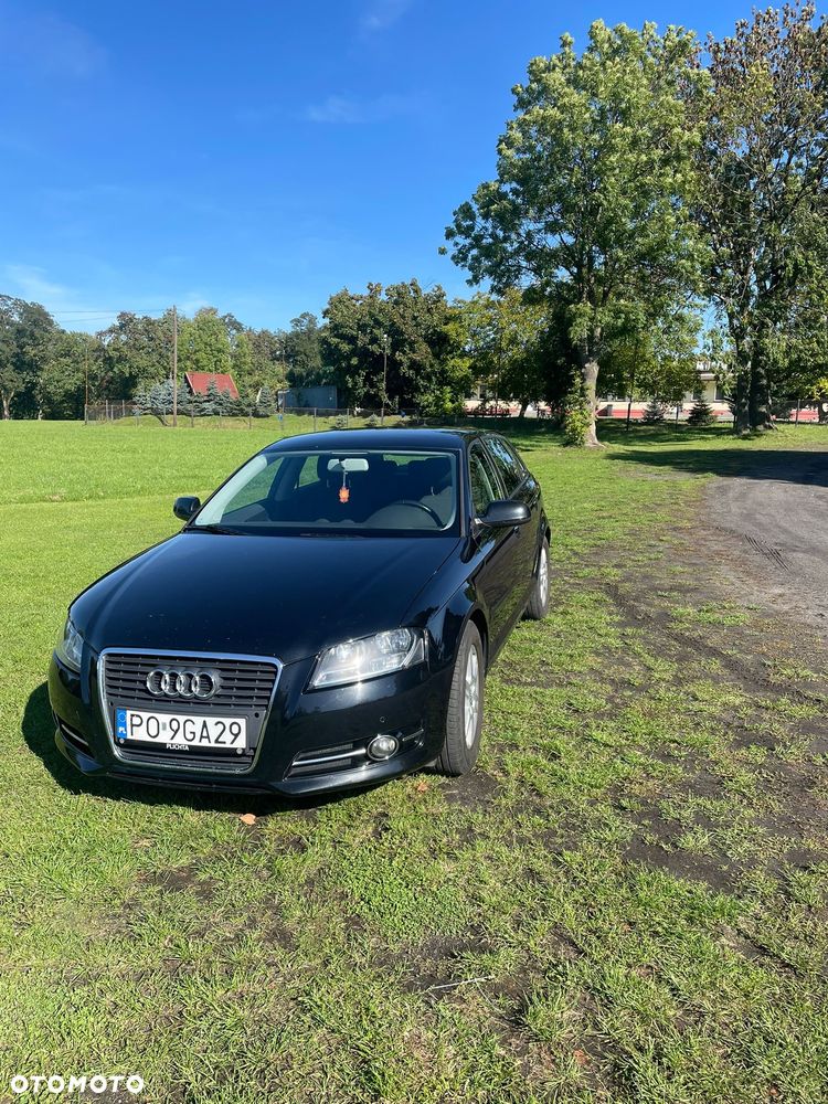 Audi A3 1.6 TDI DPF Ambiente - 22