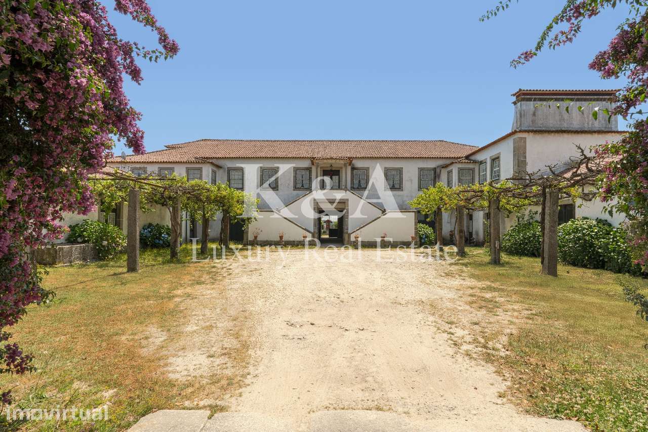 Quinta próxima do Porto - Grande imagem: 4/42