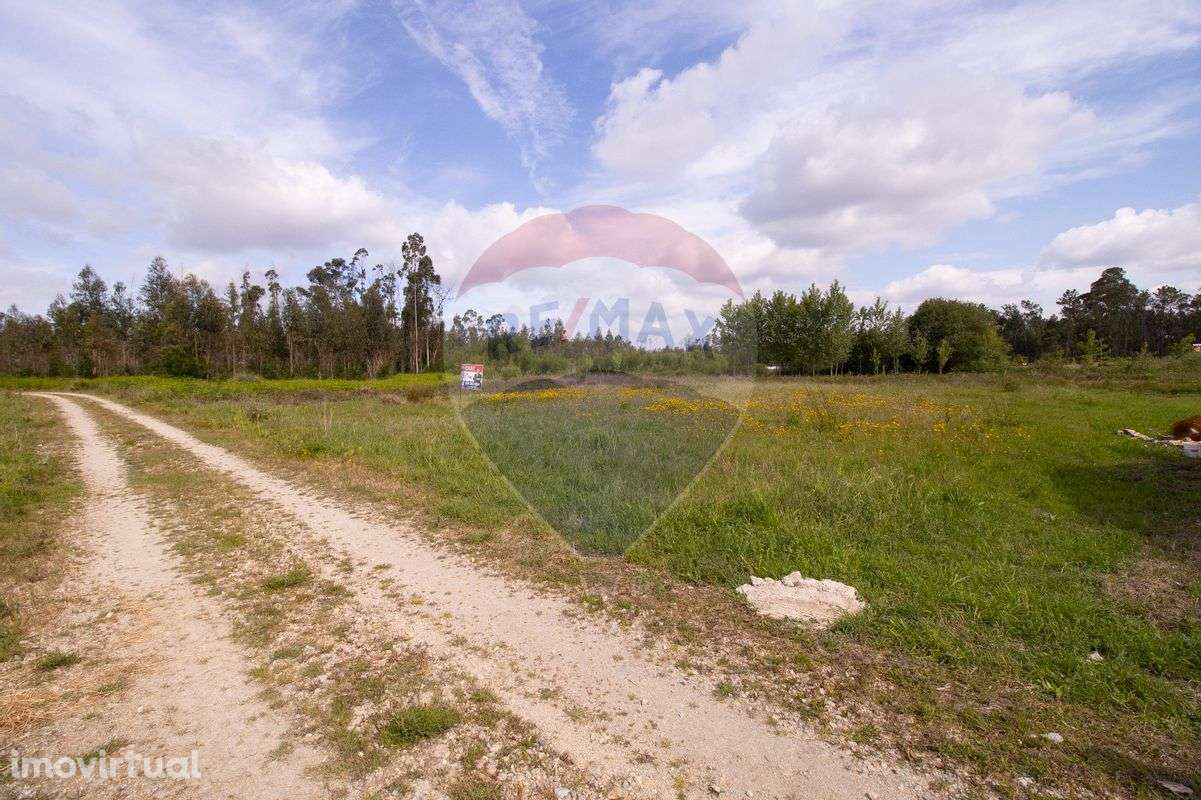 Terreno T0 para Venda - Grande imagem: 5/8