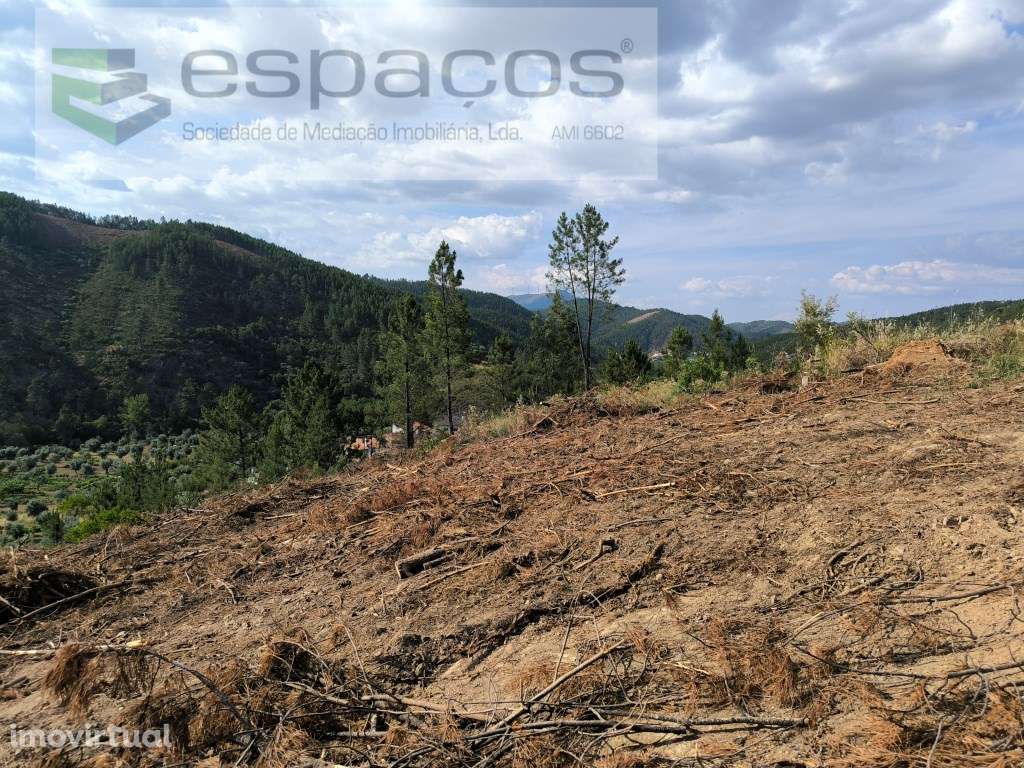 Terreno rústico junto ao Sesmo - Grande imagem: 4/9