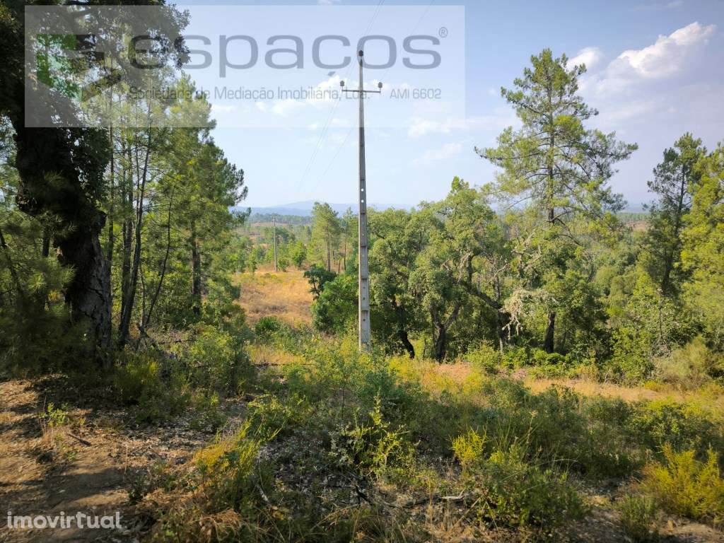 Terreno com mina de água - Cabeço do Infante - Grande imagem: 4/17