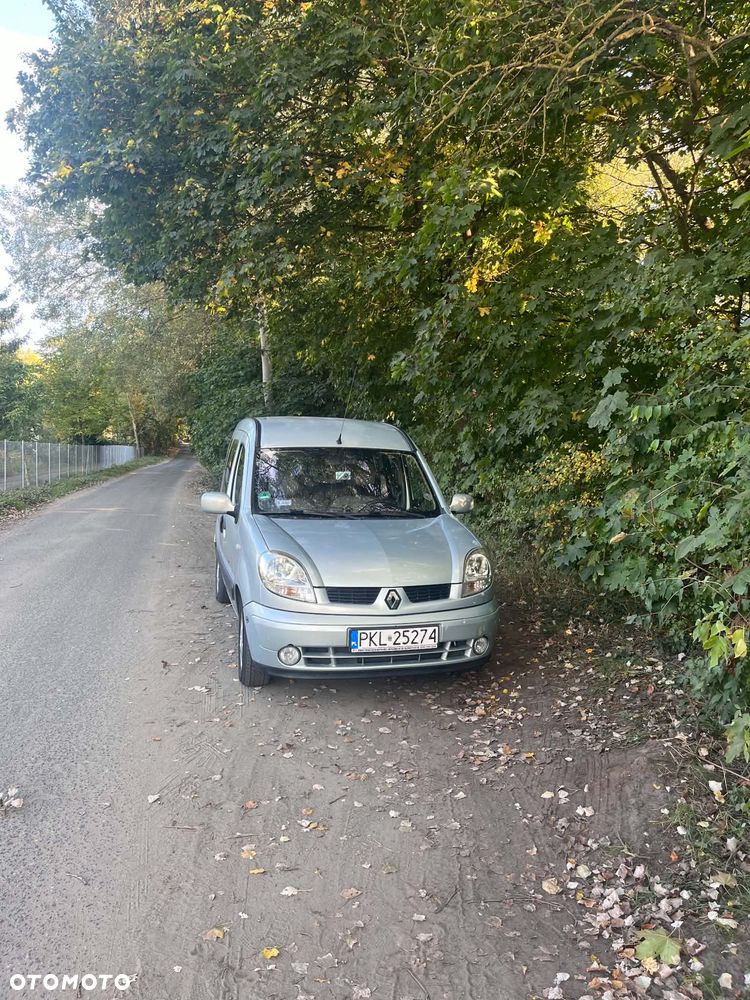 Renault Kangoo - 2