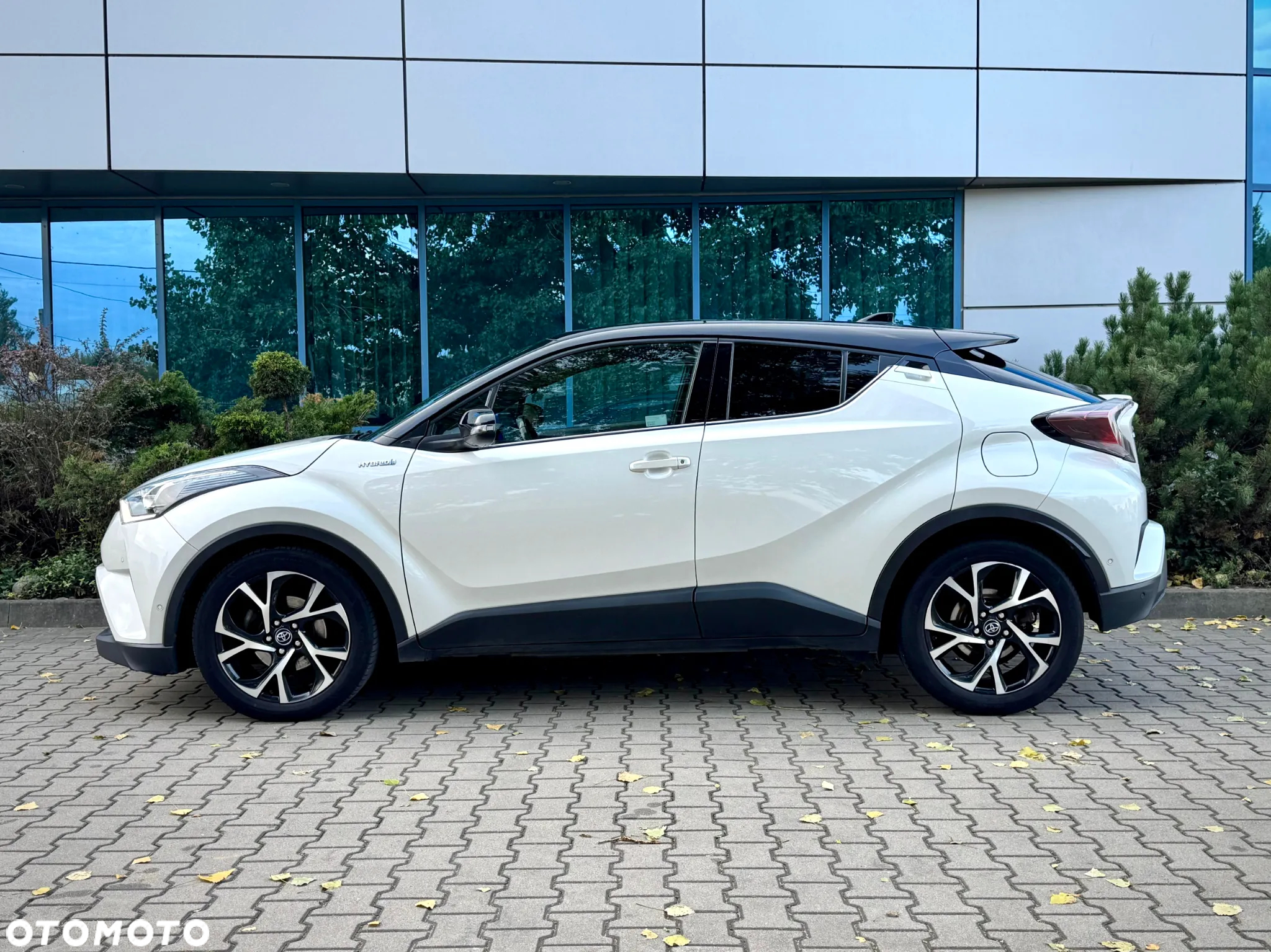 Toyota C-HR 1.8 Hybrid Dynamic - 6