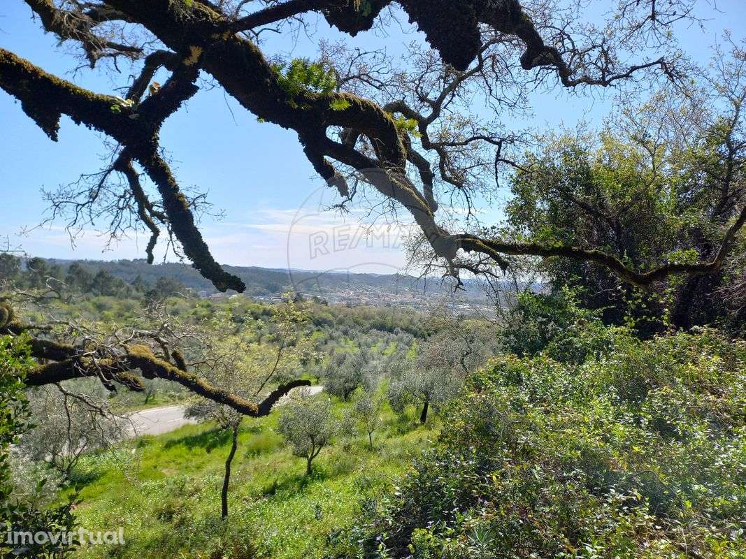 Moradia T3 para venda - Grande imagem: 3/10