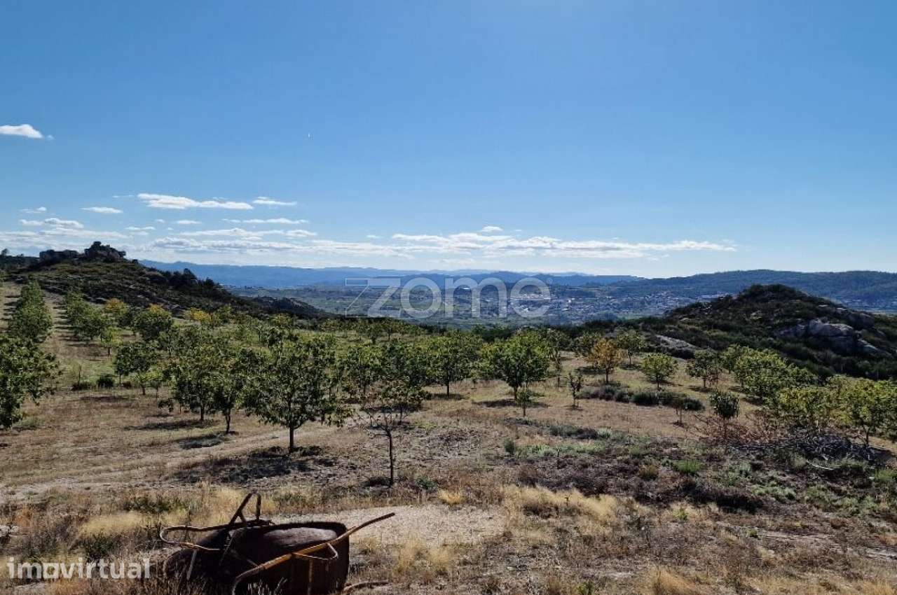 Terreno, 149 500 m², Alijo - Grande imagem: 4/28