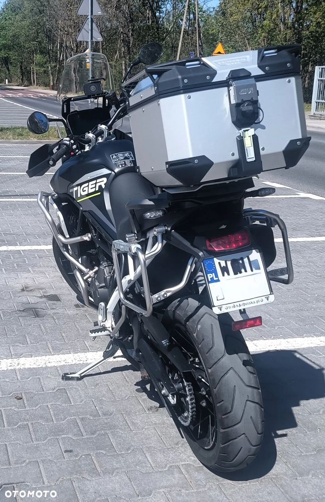 Triumph Tiger - 20