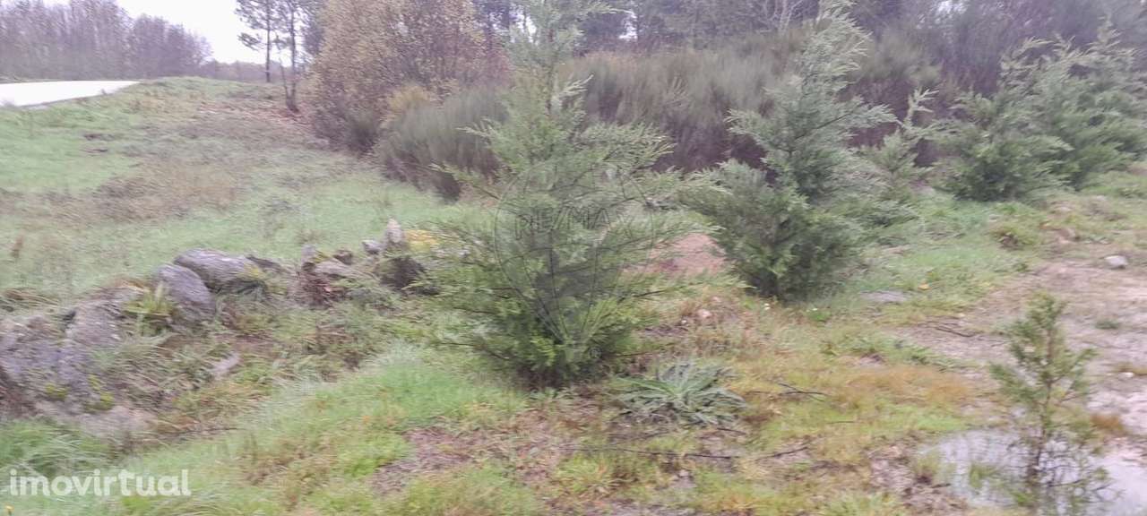 Terreno  para venda - Grande imagem: 3/13