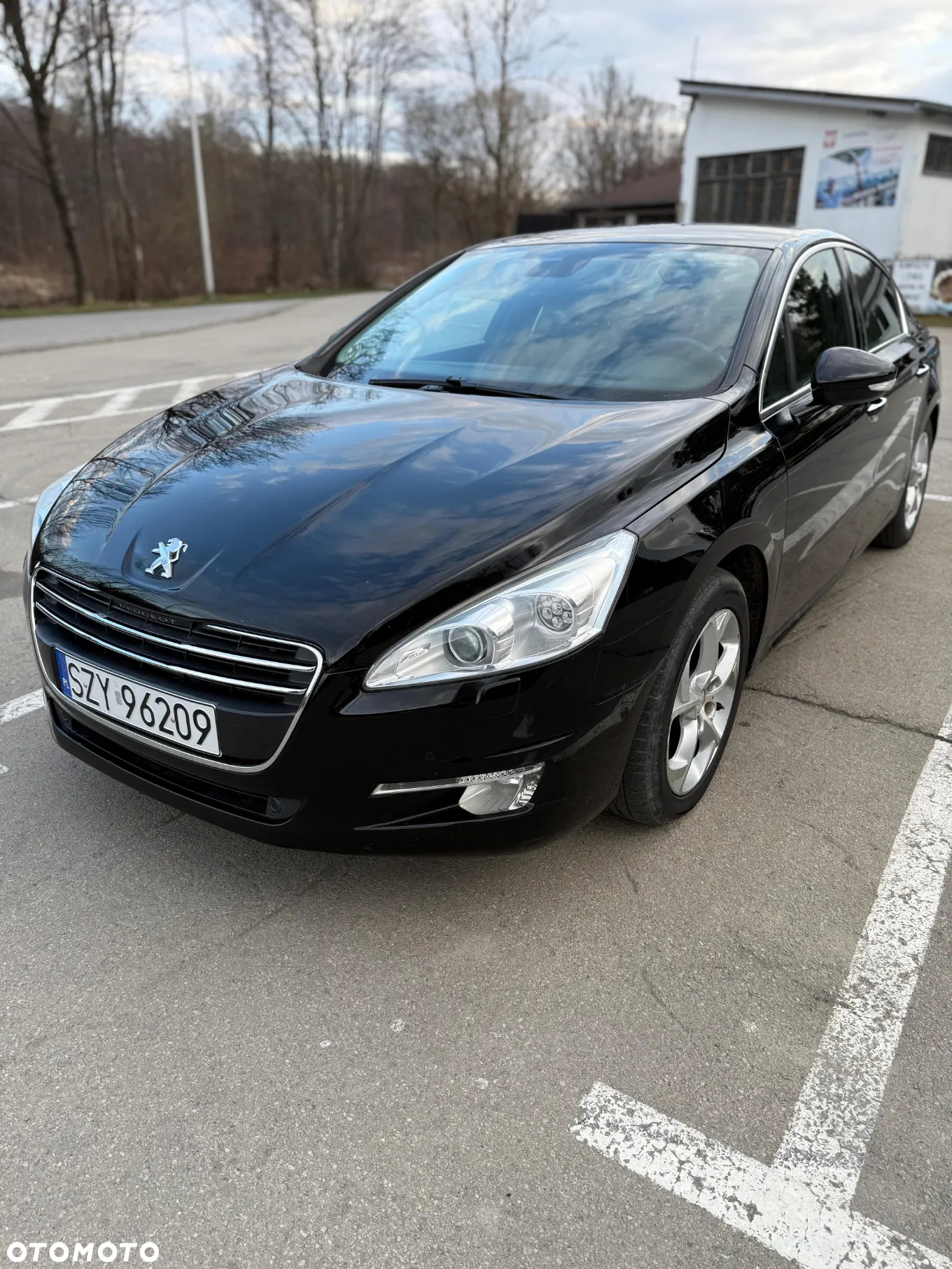 Peugeot 508 Hybrid4 - 20