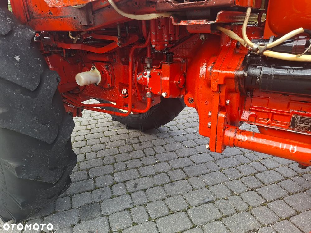Belarus WŁADIMIREC RUSKI T-25 - 13