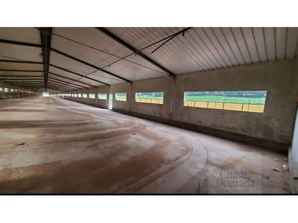 Armazém agrícola arrenda-se com1350m2, em Almalaguês - Grande imagem: 3/7