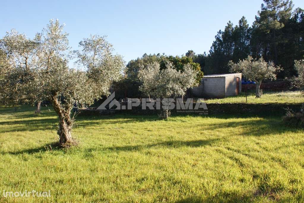 Terreno tipo horta para venda - Grande imagem: 4/8