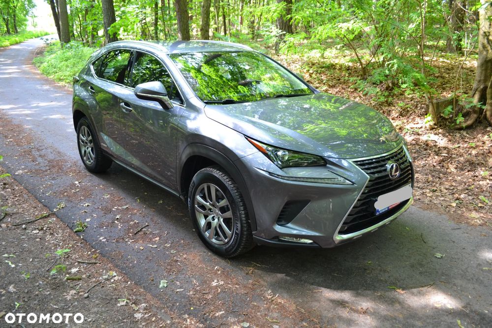 Lexus NX 300h - 9