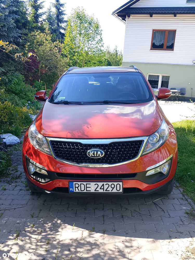 Kia Sportage - 1
