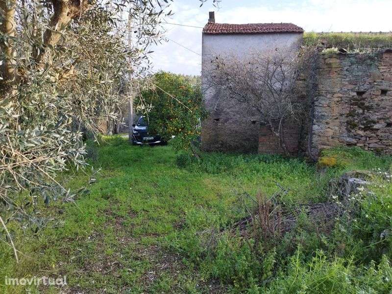 Casa antiga com terreno - Grande imagem: 2/7