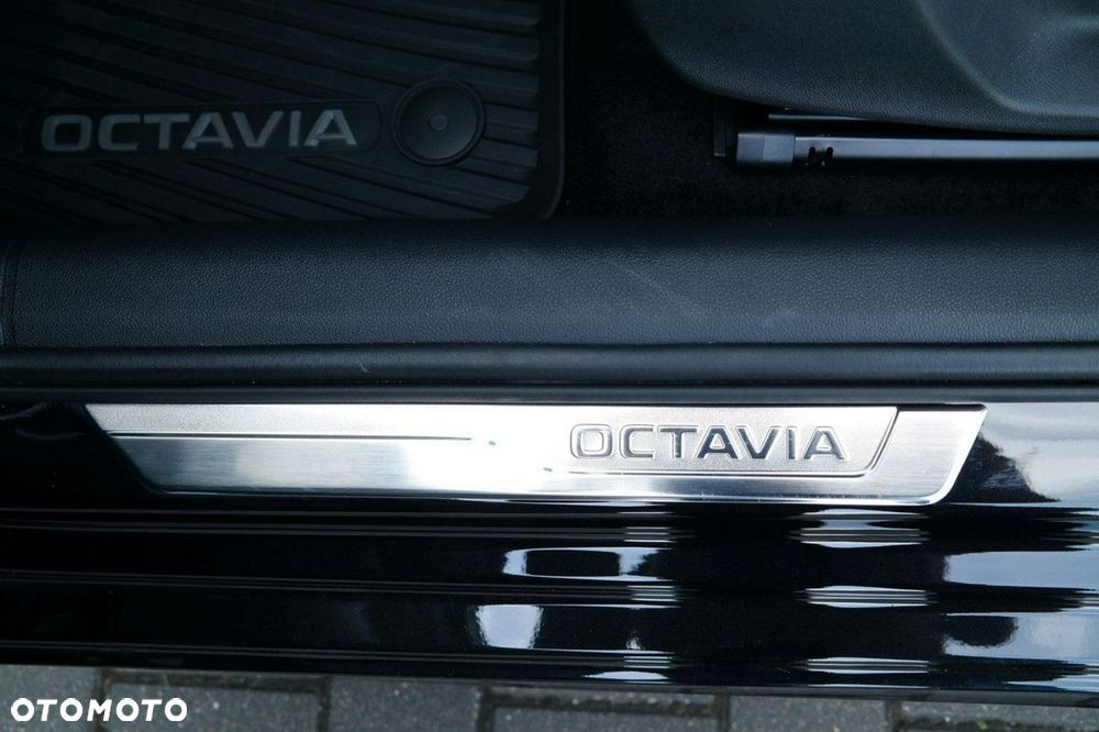 Skoda Octavia - 28