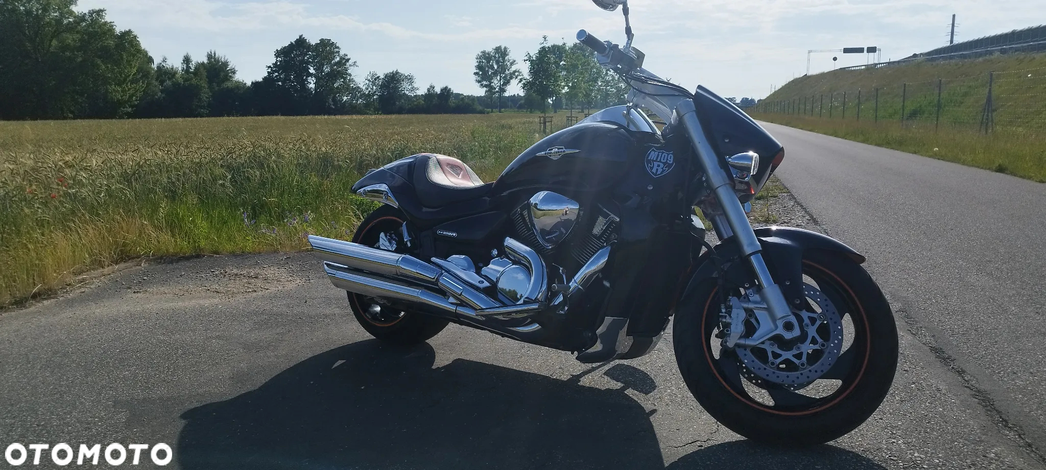 Suzuki Intruder - 16