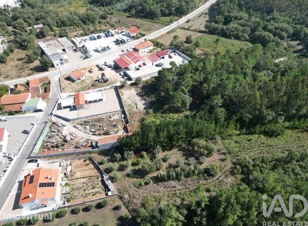 Terreno em Pedreiras - Grande imagem: 2/13