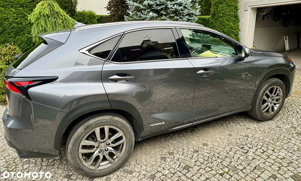Lexus NX 300h Comfort AWD - 5