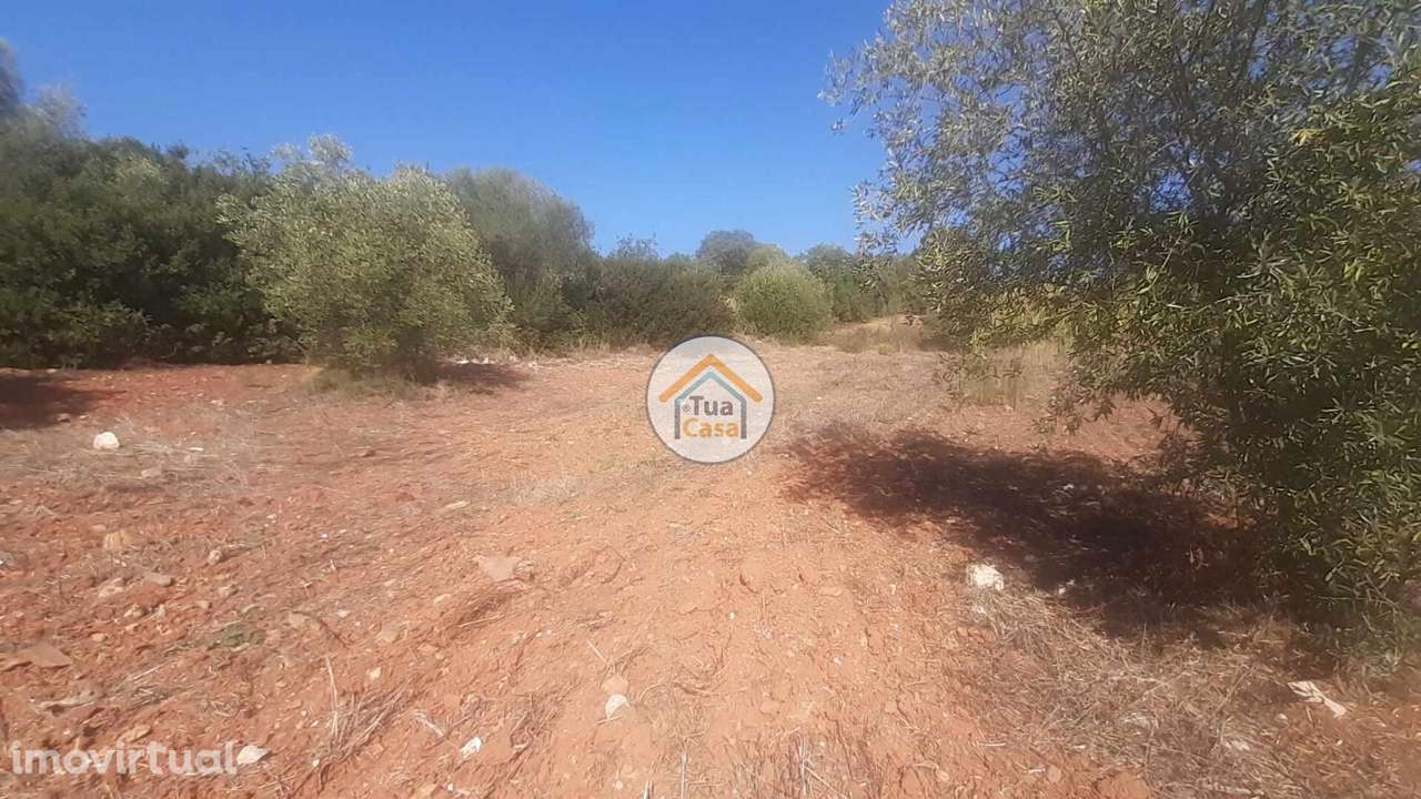 Terreno Rústico com Viabilidade de Construção em São Brás de Alportel - Grande imagem: 2/18