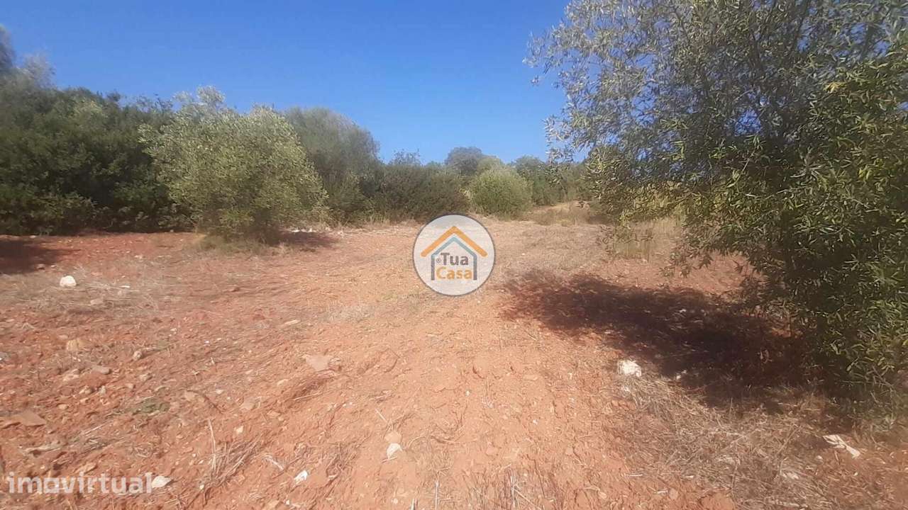 Terreno Rústico com Viabilidade de Construção em São Brás de Alportel - Grande imagem: 2/18
