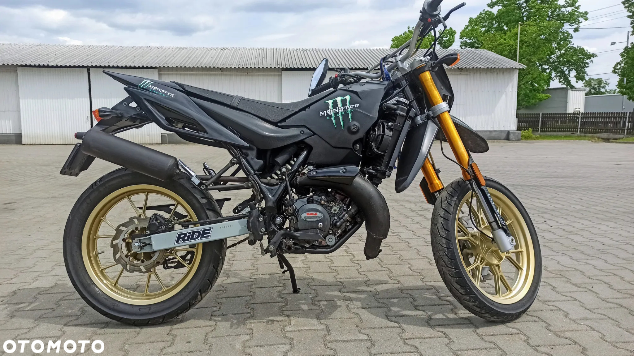 Generic Tiger
