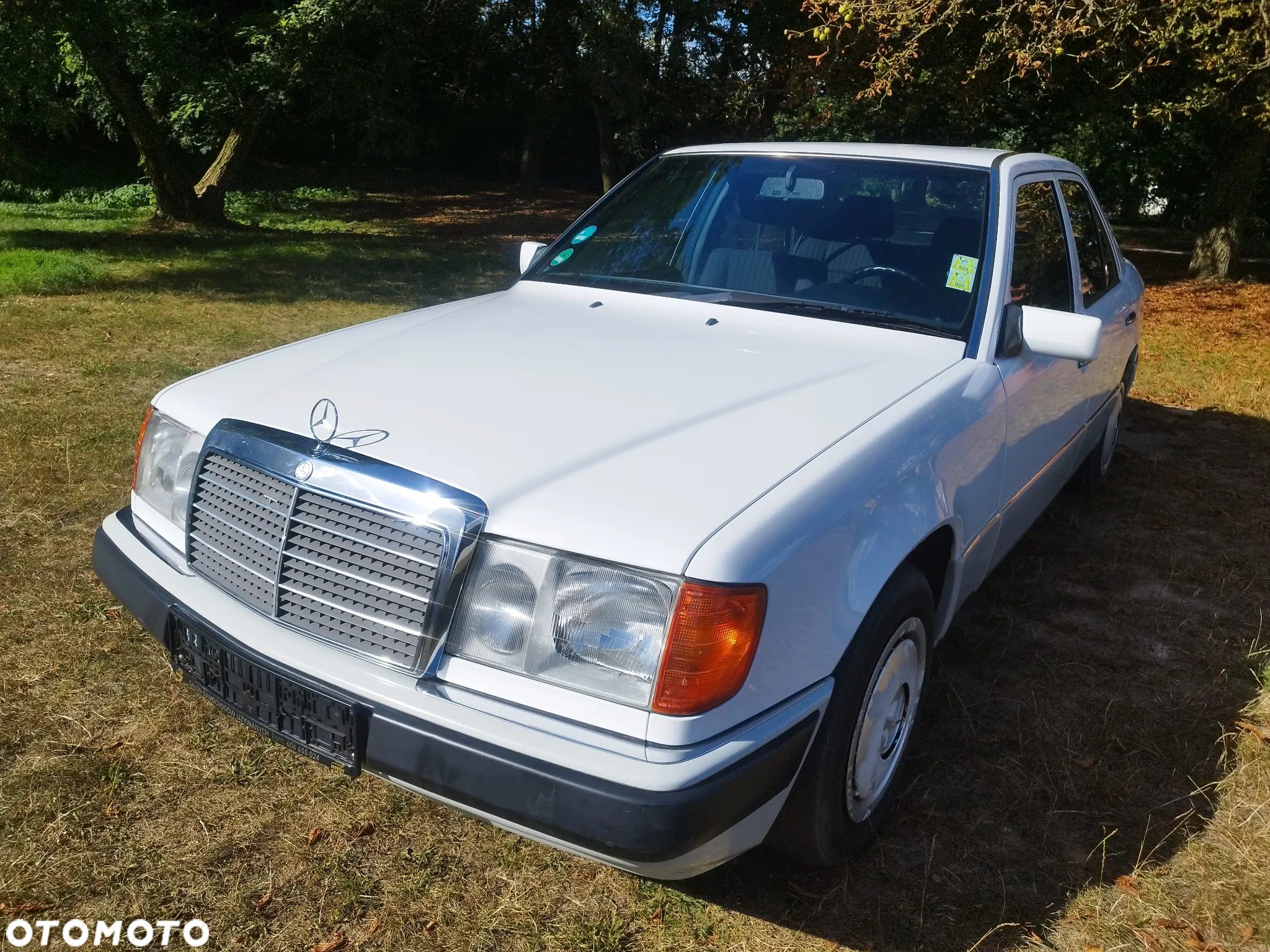 Mercedes-Benz W124 (1984-1993) - 14