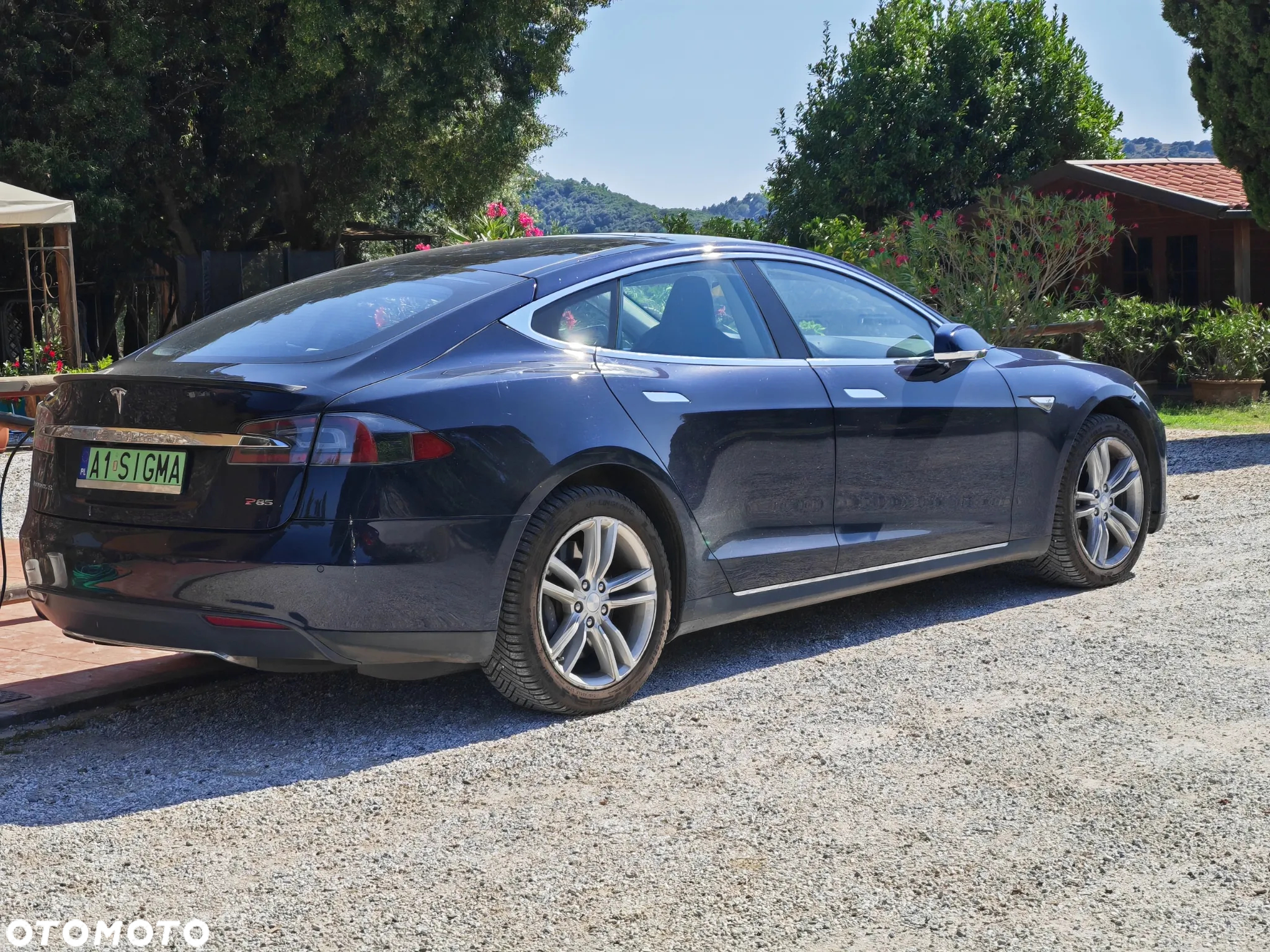 Tesla Model S Performance - 5