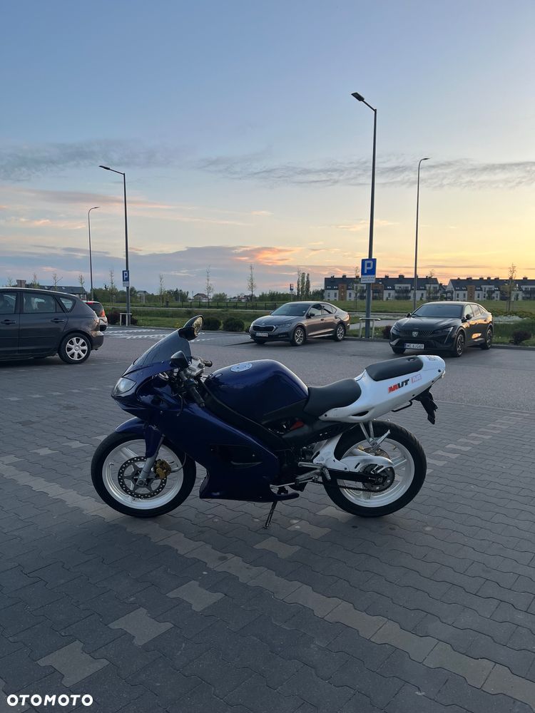 Yamaha TZR - 13
