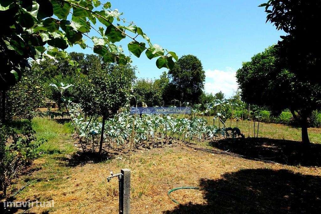 Casa, quinta mini, 1.200m2, Ponte de Lima. Portugal, Viana do Caste... - Grande imagem: 2/9