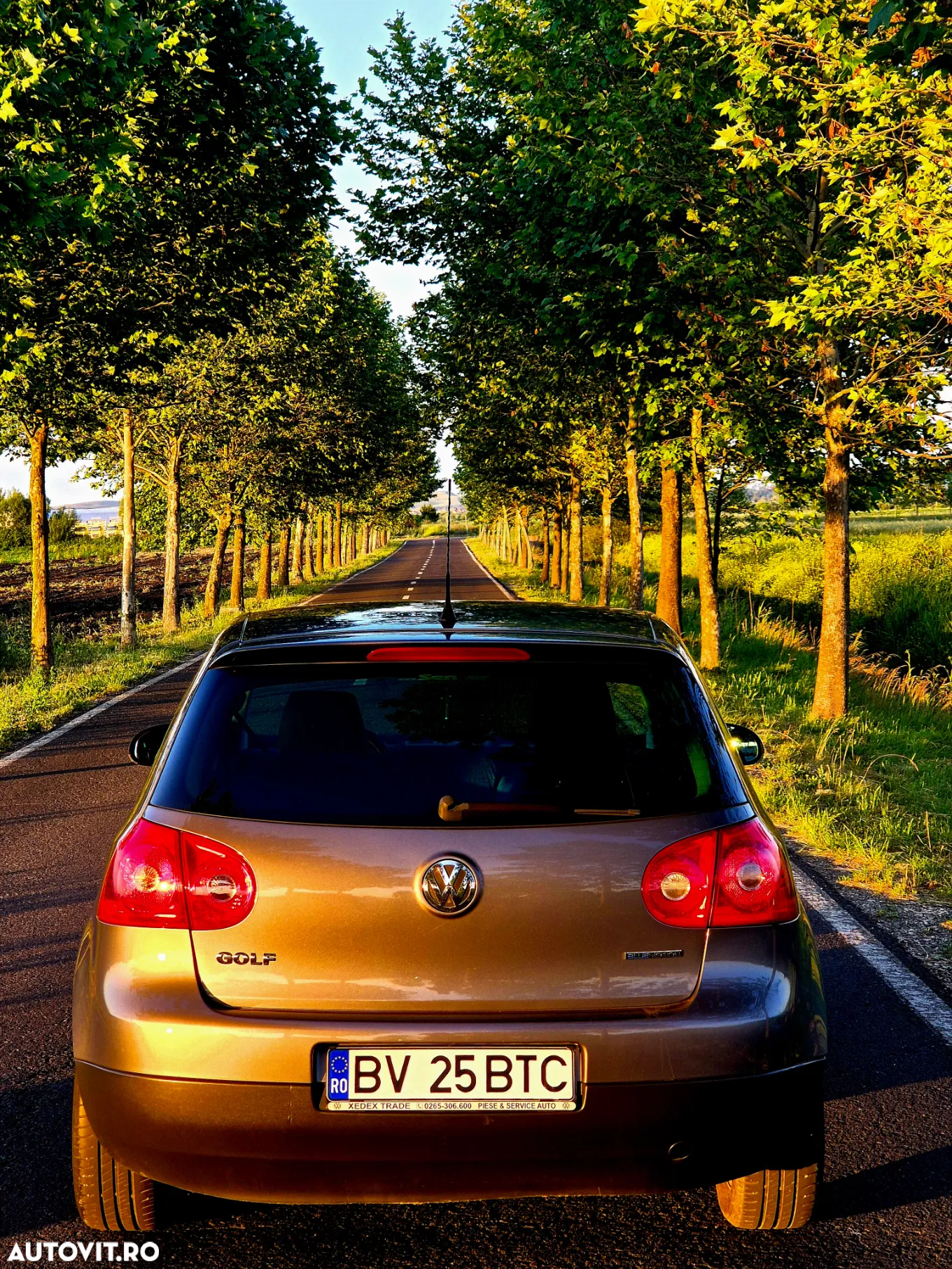 Volkswagen Golf 1.9 TDI Comfortline BlueMotion - 2