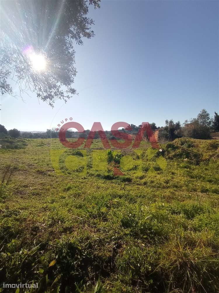 Lote de Terreno T4 Venda em Torres Novas (Santa Maria, Salvador e Sant - Grande imagem: 5/13