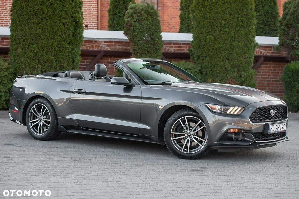Ford Mustang Cabrio 2.3 Eco Boost - 16