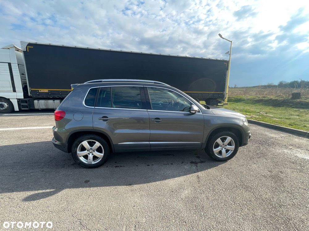 Volkswagen Tiguan - 31