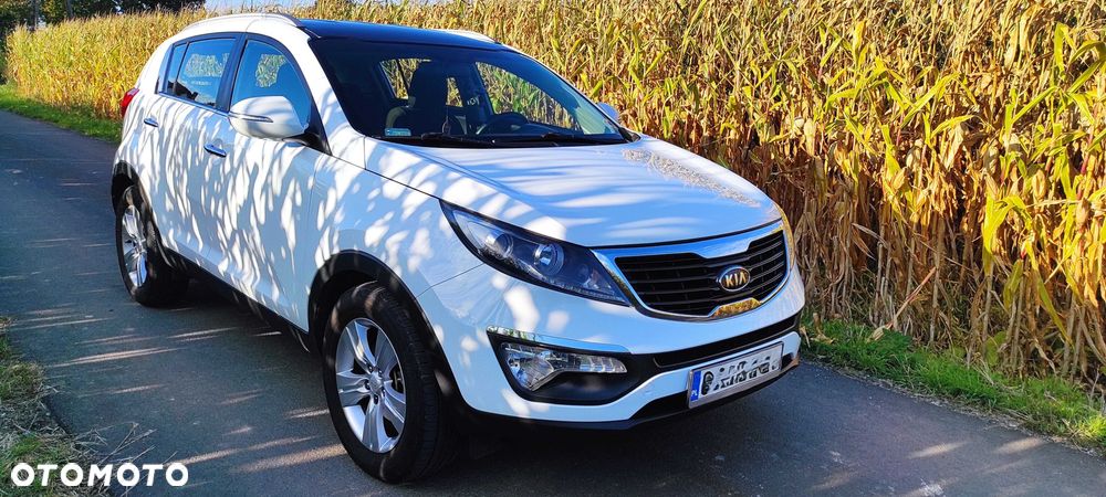 Kia Sportage - 1